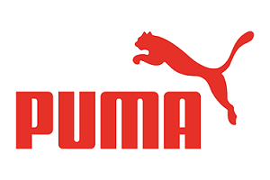 Puma Spanish Translation Provider